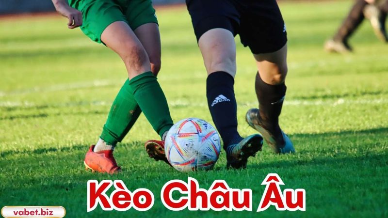 Cần lưu ý gì khi cá cược kèo Châu Âu?